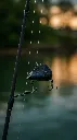 5786844722.webp