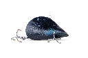 5786844716.webp