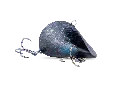 5786696472.webp