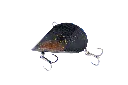 5786844704.webp